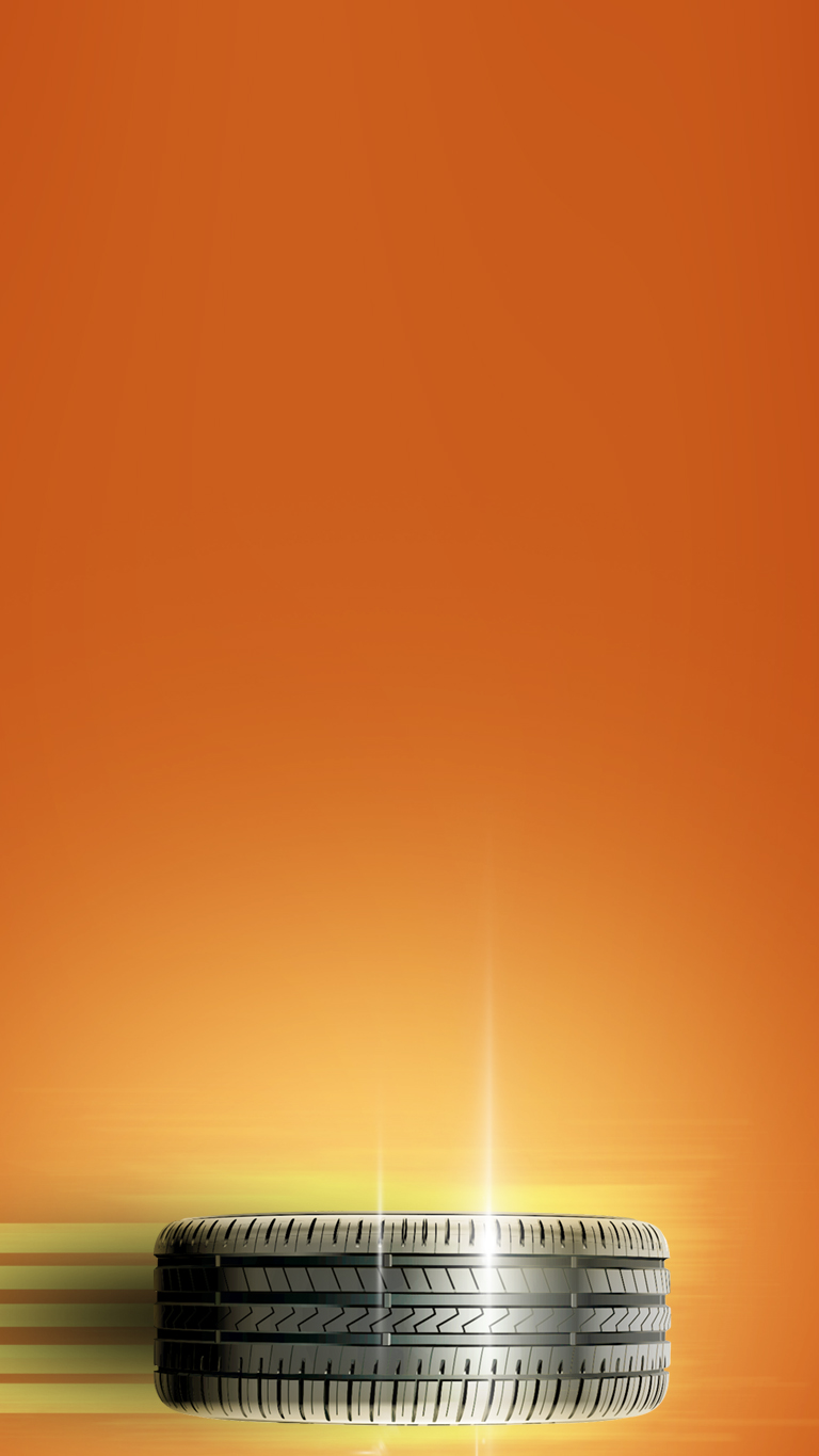 Осенний шиномонтаж от 82,02 BYN